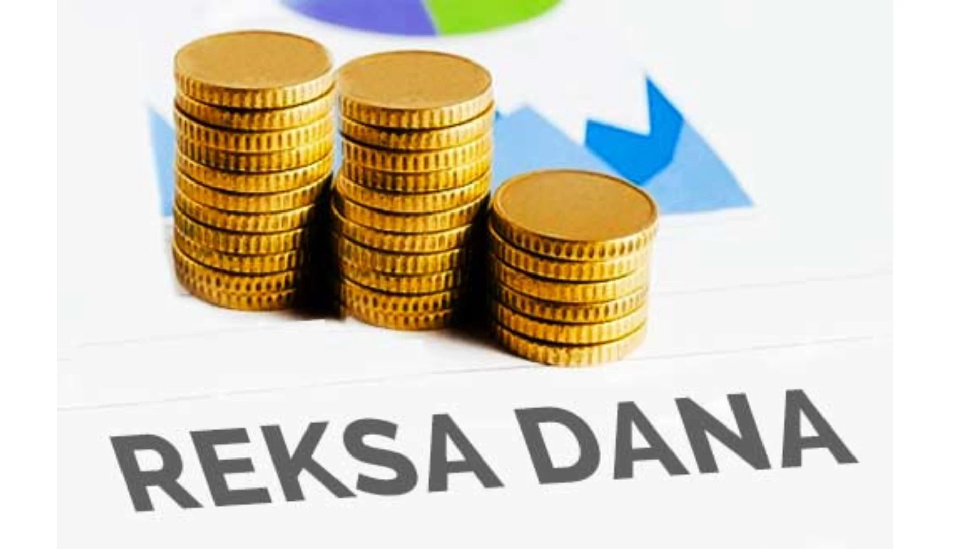 Hukum Investasi Reksadana dalam Islam, Potensi Pertumbuhan dan Kepatuhan Syariah