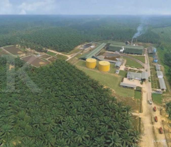 LSIP Bagi Dividen Rp65/Saham! RUPST Angkat Direksi Baru