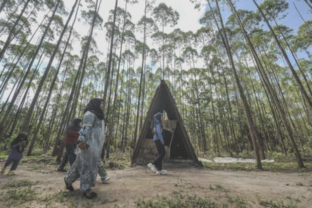 Konservasi Lingkungan Tak Lagi Dianggap Sukarela, Pegiat Akan Dapat Insentif