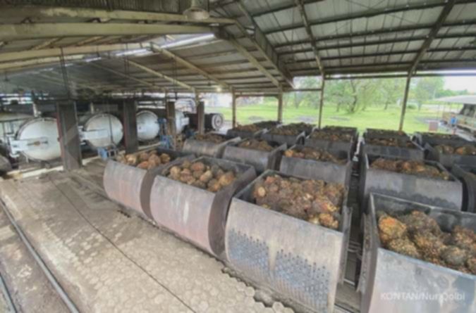 AALI: Prospek Kinerja Cemerlang hingga 2025, Peluang Investasi?