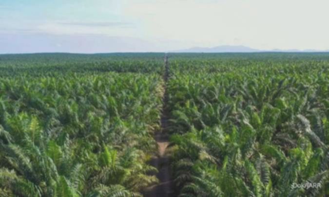 Harganya Terbang, BEI Hentikan Sementara Perdagangan Saham Jhonlin Agro Raya (JARR)