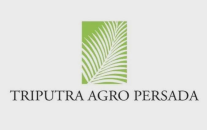 TAPG Cetak Rekor! Produksi CPO Semester I 2025 Tembus 485 Ribu Ton