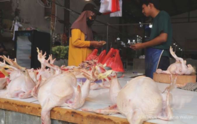 Emiten Poultry Jadi Saham yang Diuntungkan dari Stimulus Hingga Program MBG