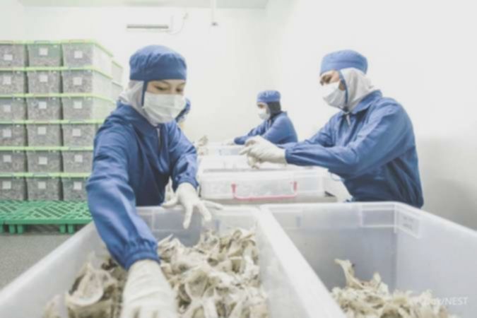 Dirut Esta Indonesia (NEST) Borong 1,39 Juta Saham untuk Investasi Jangka Panjang