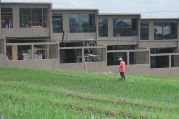 Petani Indonesia vs Jepang-Korsel: Kenapa Teknologi Tak Bisa Ditiru?