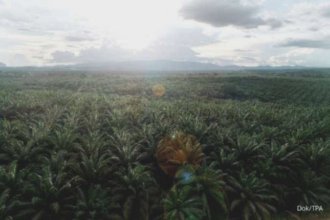 TLDN Bagi Dividen Interim Rp200 Miliar! Ini Jadwal & Cara Dapatnya