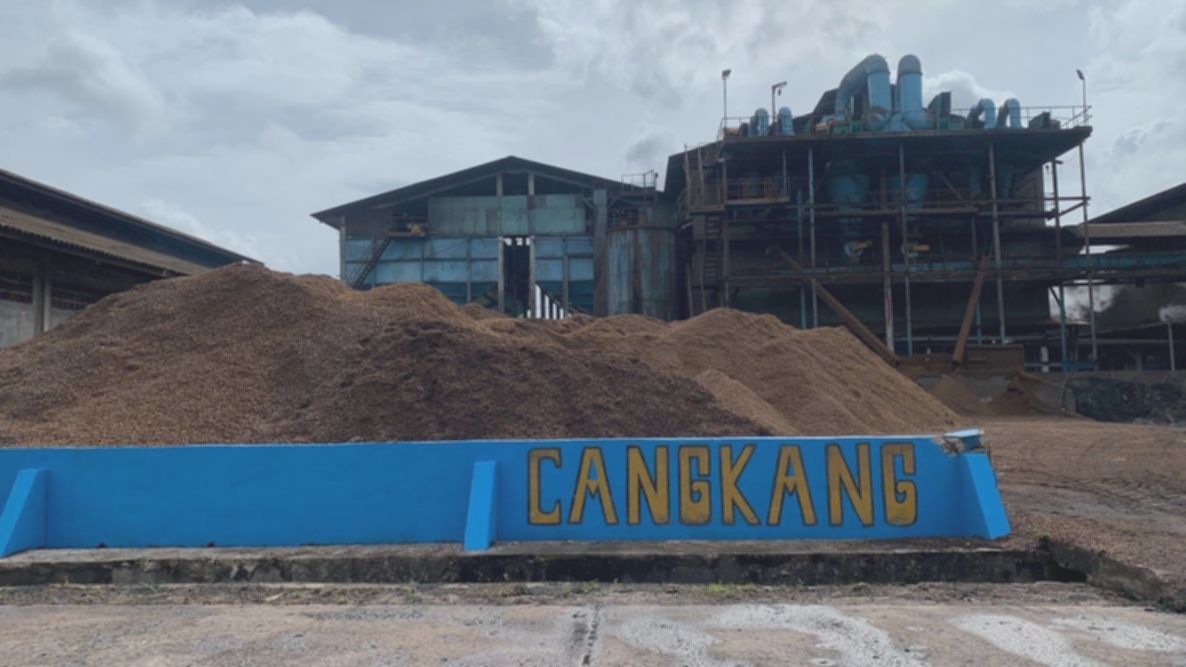 Kementerian ESDM Percepat Transisi Energi Hijau Lewat PLTSa, Biogas, Biomassa