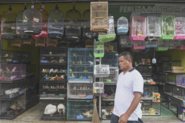 Jakarta Bangun Sentra Fauna dan Kuliner di Lenteng Agung, Jadi Ikon Baru Kota