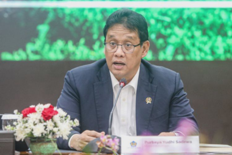 Insentif Investor Ritel: Jurus Menkeu Usai OJK Berantas Saham Gorengan