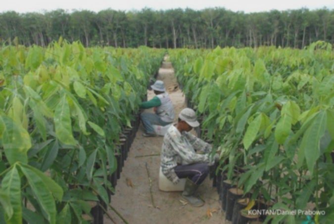 Harga melonjak tajam, BEI suspensi saham Bakrie Sumatera Plantations (UNSP)