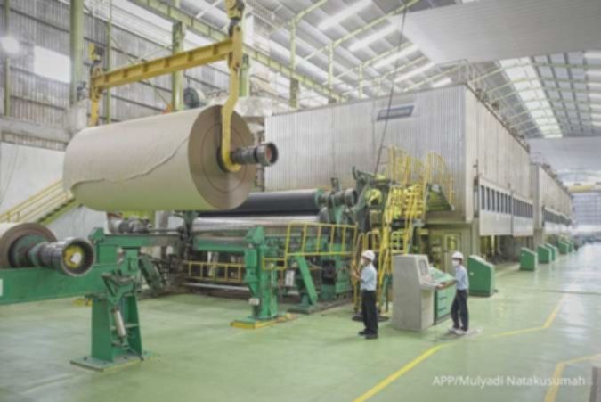 Prospek sektor pulp dan kertas mulai membaik, cermati saham rekomendasi analis