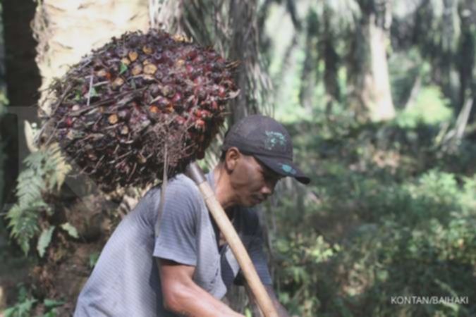 Provident (PALM) fokus ke tiga sektor bisnis ini di 2026, begini prospek kinerjanya