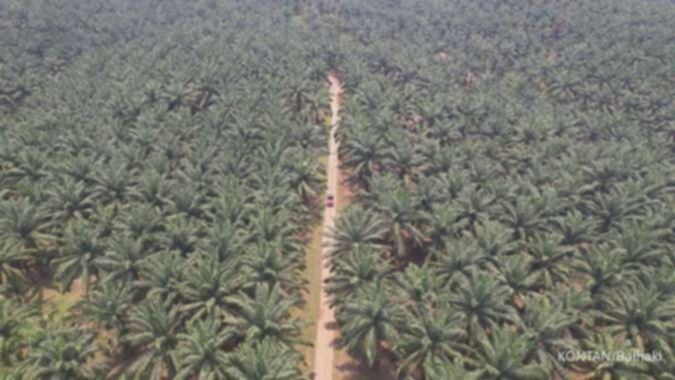 Pasca akuisisi, Sampoerna Agro (SGRO) ganti nama jadi Prime Agri Resources