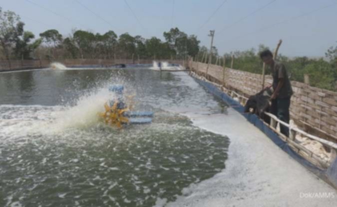 Radiant Ruby Company tuntaskan akuisisi 51% saham Agung Menjangan Mas (AMMS)