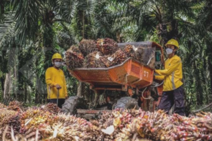 Astra Agro (AALI) bukukan laba bersih Rp 1,5 triliun di 2025, naik 28%