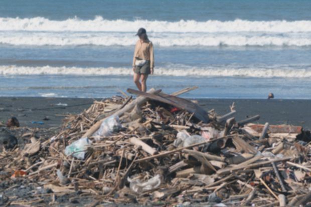 Pantai Bali kotor, sampah turisme hingga kiriman dari Jawa Timur jadi penyebab?