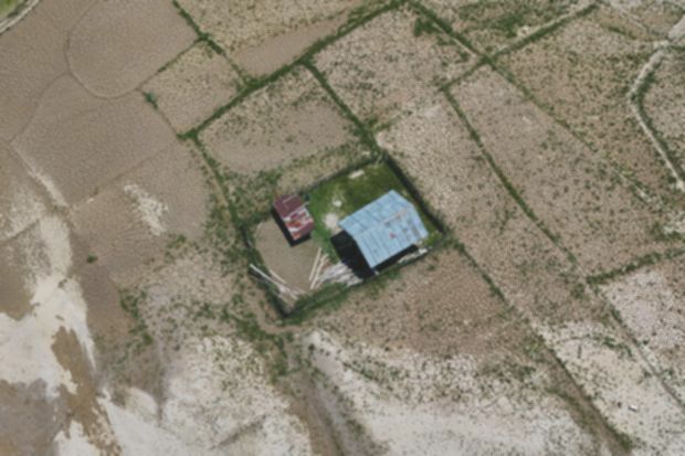 Kementan siapkan Rp 336 miliar untuk rehabilitasi sawah terdampak banjir Sumatra