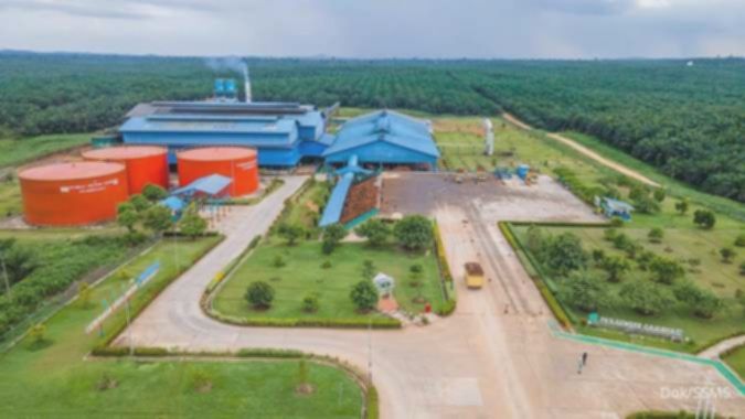 Berkat efisiensi dan akuisisi, kinerja Sawit Sumbermas (SSMS) diprediksi makin solid