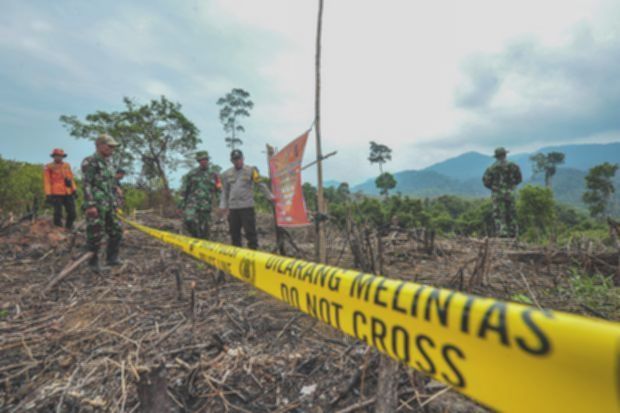 Penertiban sawit: Satgas PKH tarik denda Rp7,4 T dan kuasai 5 juta hektare lahan