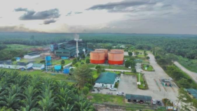 Laba dan pendapatan Eagle High Plantations (BWPT) kompak naik di tahun 2025